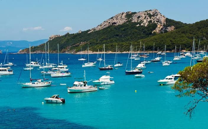 Crique aux eaux turquoise bordée de pins, au large des îles d'Hyères.